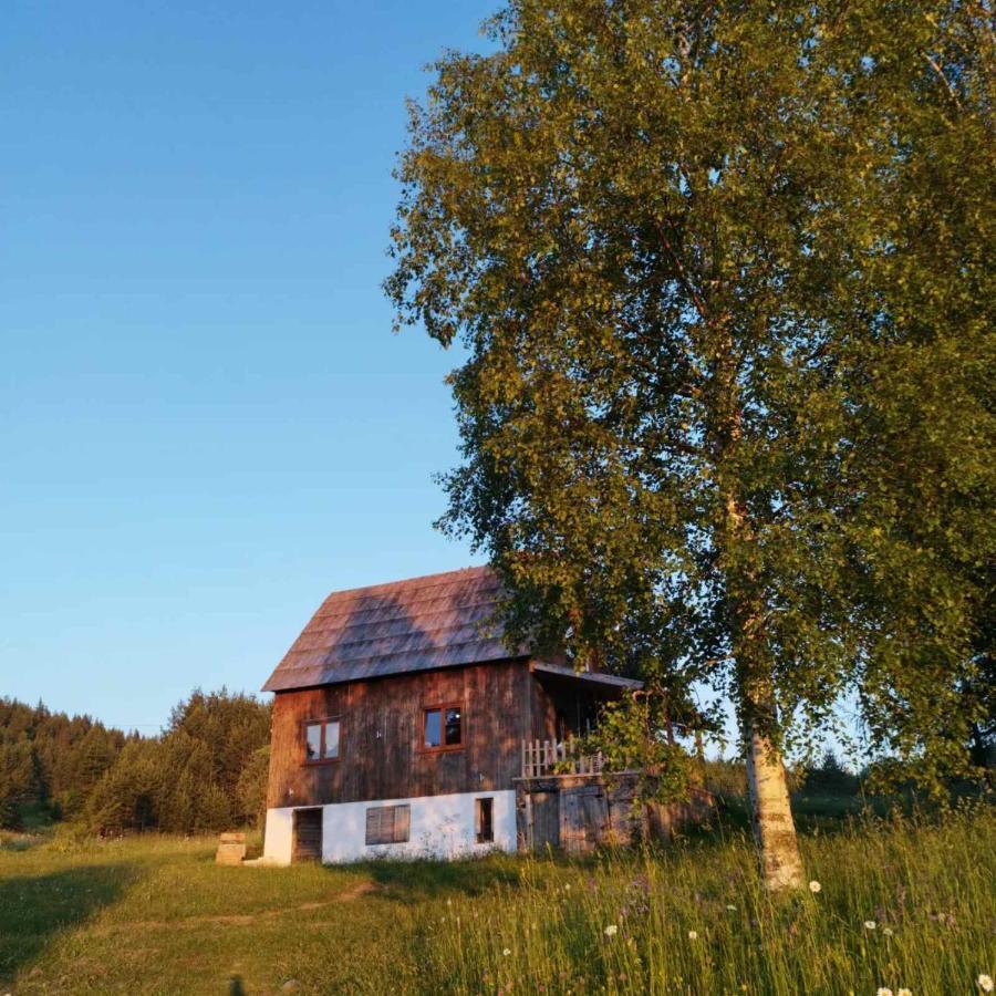 Vukov Konak - Wolf'S Lodge Zabljak  Exterior photo
