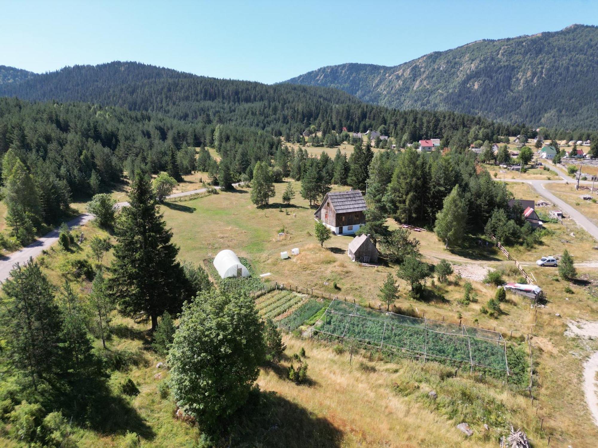 Vukov Konak - Wolf'S Lodge Zabljak  Exterior photo