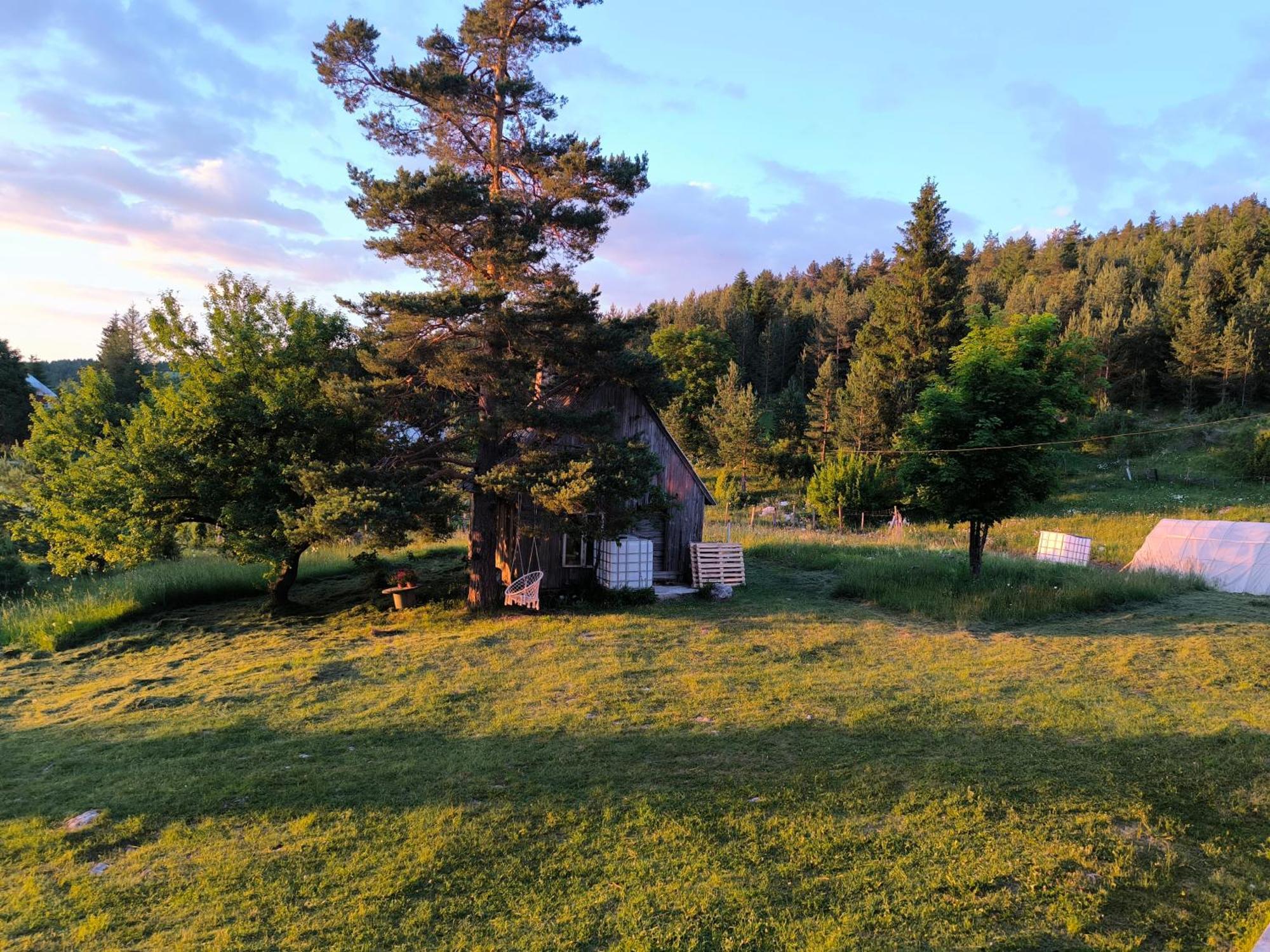 Vukov Konak - Wolf'S Lodge Zabljak  Exterior photo